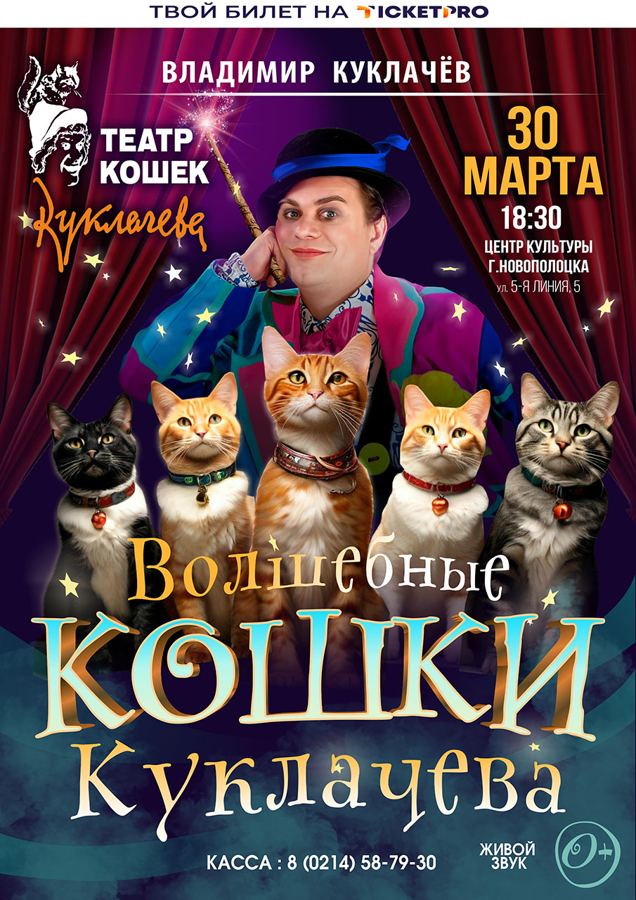 «Волшебные кошки Куклачёва» Театр кошек Куклачёва в Центре культуры г.Новополоцка 30 марта в 18-30